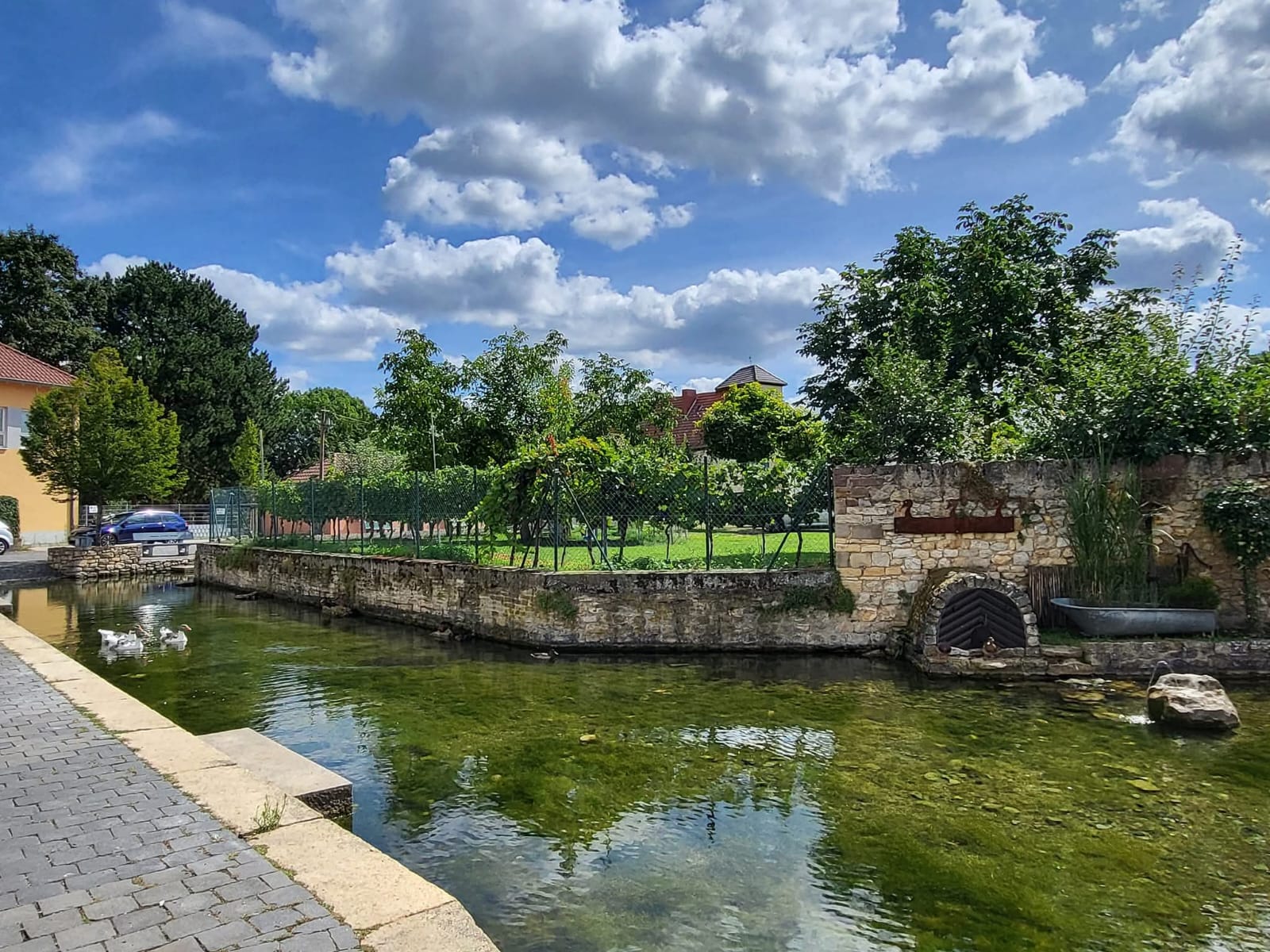 Der idyllische Dorfweiher in Westhofen mit Enten und alter Natursteinmauer